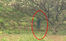 nguoi dan ong chet trong tu the treo co tren cay hoa su chan chi cach mat dat vai cm