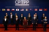 cptpp chinh thuc co hieu luc co hoi va dong luc 2019