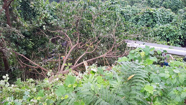 xe cho sinh vien va giao vien lao xuong vuc o deo hai van khien hang chuc nguoi bi thuong