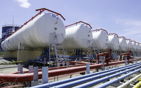 nhieu ong lon bi thanh tra trong nam 2019