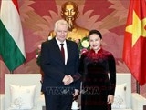 70 chuong trinh dac sac ky niem 70 nam quan he viet nam hungary se dien ra vao nam 2020