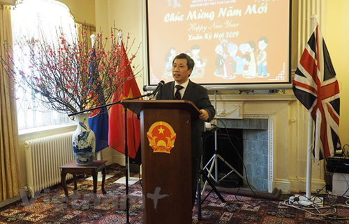 cong dong nguoi viet tai an do israel anh mexico vui tet cong dong don xuan 2019