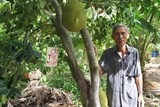 ninh binh nem 4 ty xuong ao bat trai nha ngoc 9x thu tien ty