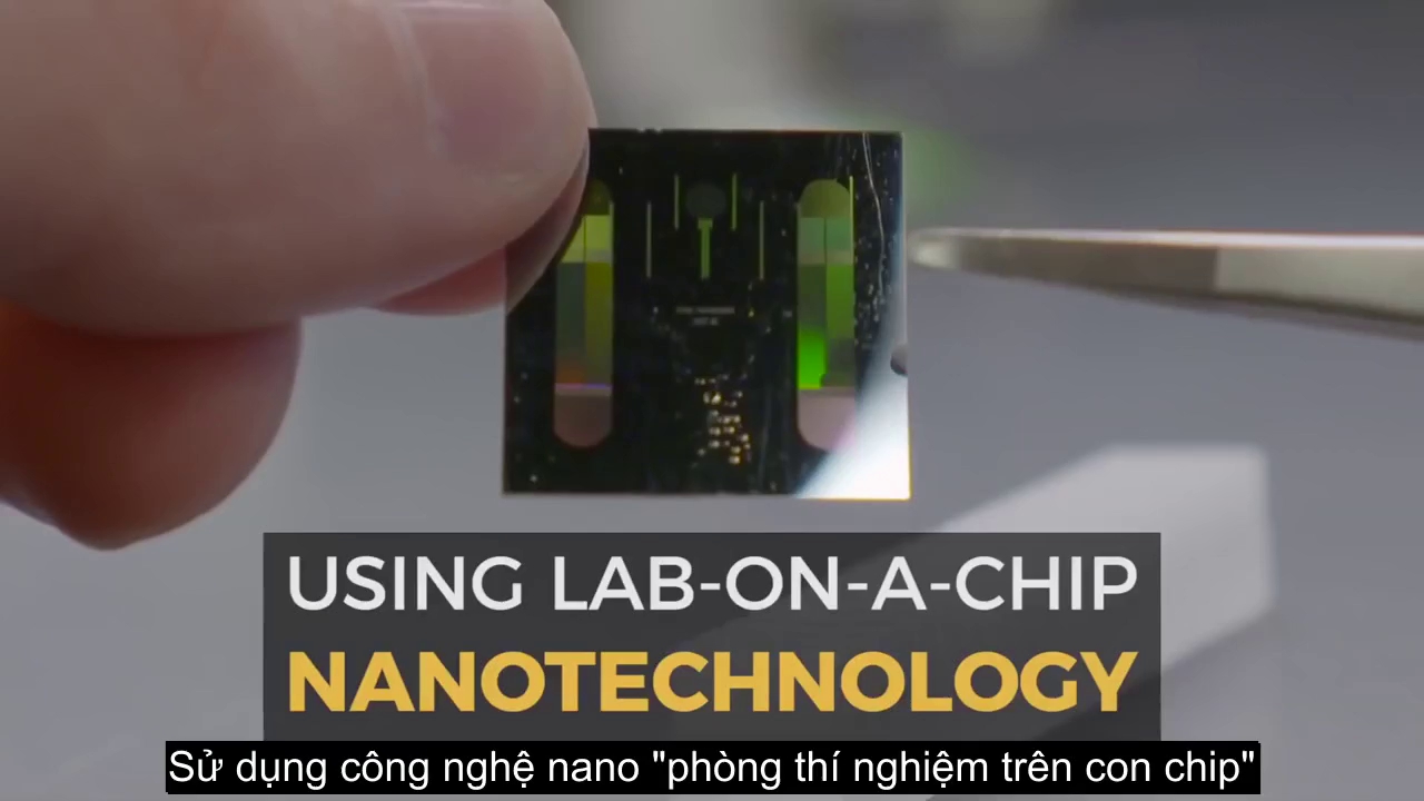 ibm dua ra 5 du doa n cho nam 2022 cuo c so ng chu ng ta sa p kha c ro i