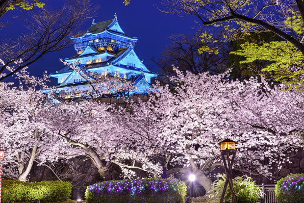 nhung dia diem thuong thuc hoa anh dao dep nhat the gioi