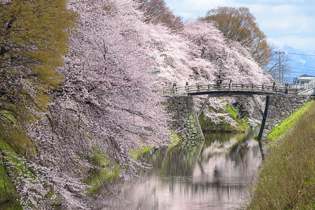 nhung dia diem thuong thuc hoa anh dao dep nhat the gioi