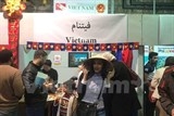 viet nam thu hut tai le hoi van hoa da quoc gia sakia tai ai cap