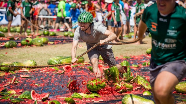 tran chien hon 20 tan dua hau doc dao tai austrulia