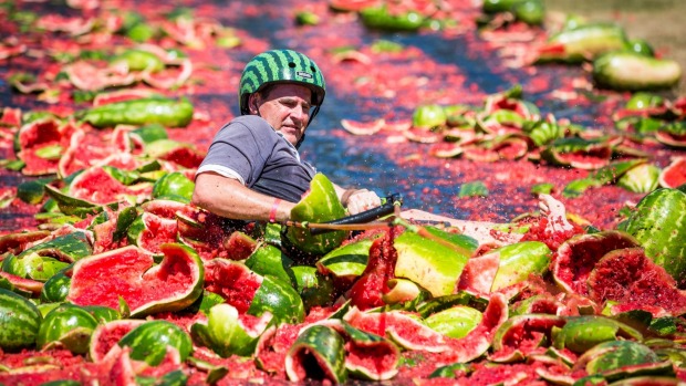 tran chien hon 20 tan dua hau doc dao tai austrulia