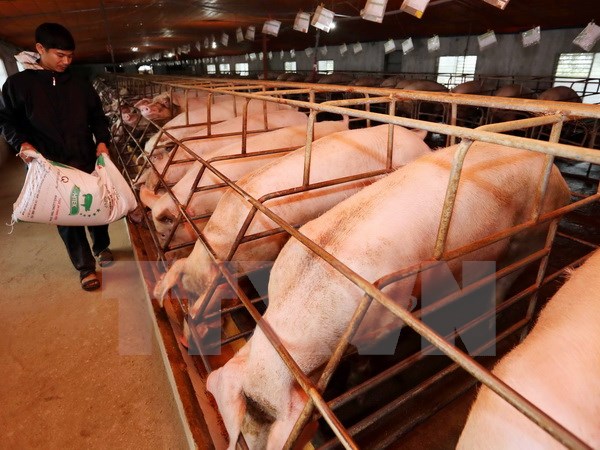 canada ho tro viet nam 15 trieu do la cad de dam bao an toan thuc pham