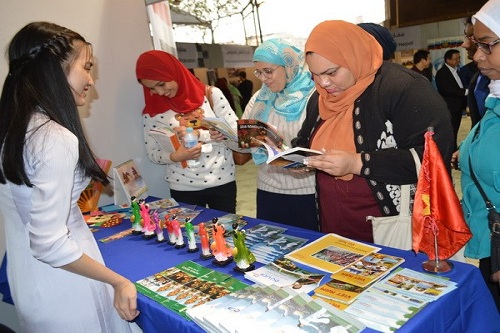 viet nam tham du le hoi van hoa quoc te sakia tai cairo