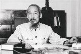 hang loat giong hoa do quyen va mai vang cuc doc do bo don tet canh ty 2020