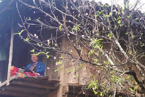 xuan ve tren ban lang mien tay xu nghe