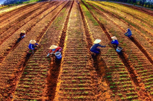 ve noi hoi tu linh thieng cua dat troi cung san vat me dam long du khach thap phuong