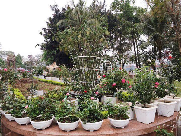 nhung hinh anh khong nhu mong doi tai le hoi hoa hong o ha noi