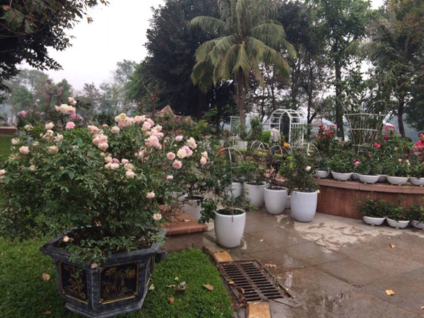 nhung hinh anh khong nhu mong doi tai le hoi hoa hong o ha noi