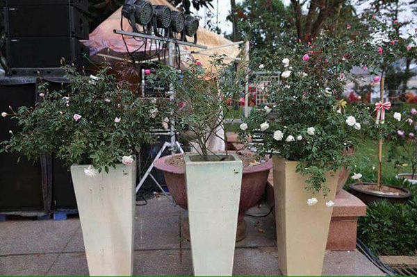 nhung hinh anh khong nhu mong doi tai le hoi hoa hong o ha noi