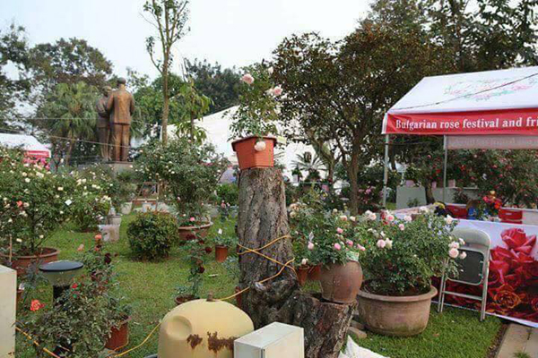 nhung hinh anh khong nhu mong doi tai le hoi hoa hong o ha noi