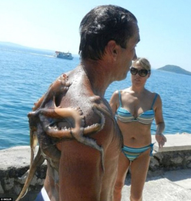 gap loat su co nay nhung ki nghi trong mo co the se bien thanh con ac mong