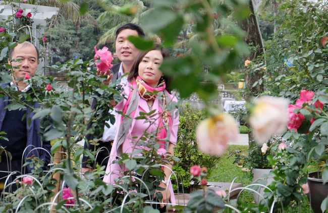 khach tham quan vang den bat ngo trong ngay cuoi cua le hoi hoa hong bulgaria