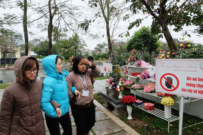 khach tham quan vang den bat ngo trong ngay cuoi cua le hoi hoa hong bulgaria