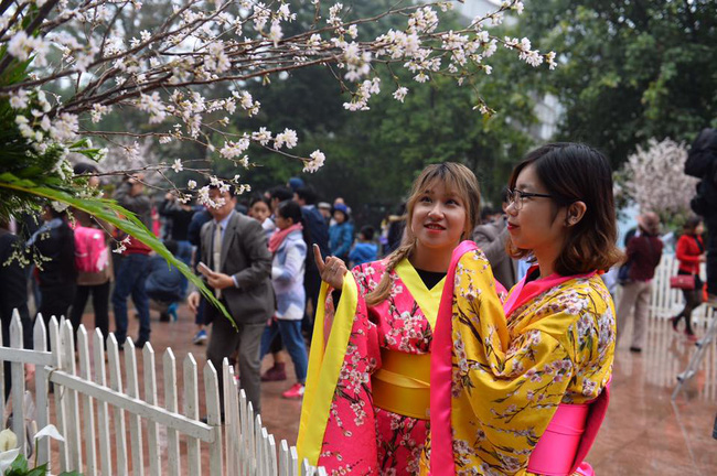 nguoi dan doi mua do xo di chup anh voi hoa anh dao xin 100 o ha noi