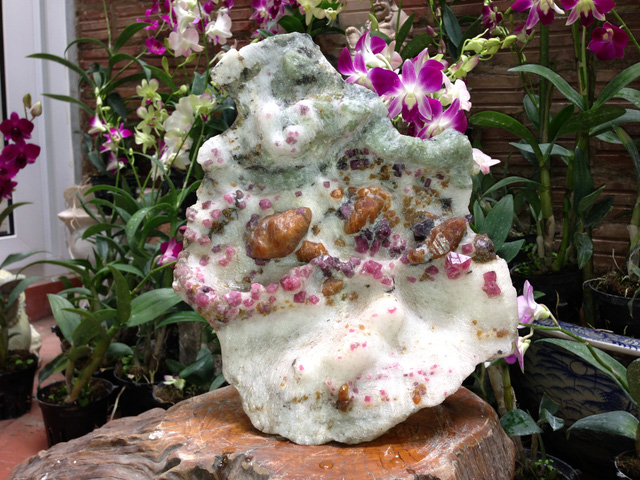 tai sao da phong thuy dat gap 3 gap 5 so voi o tay nhung van khien nguoi viet nam va chau a phat cuong