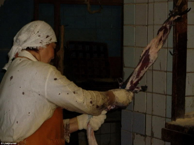 khong chi rieng ca sau nhieu con vat khac cung phai chiu noi dau tan cung cho nganh thoi trang