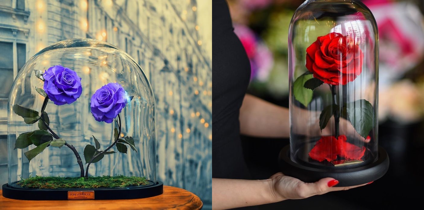 cong ty anh ra mat hoa hong bat tu gia chi tu 200 usd