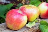 6 cách làm trắng da với sữa chua