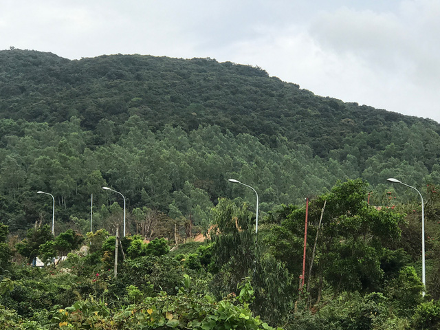 can canh khu nghi duong ubnd tp da nang yeu cau kiem tra tai ban dao son tra da nang