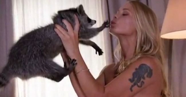 chup anh cung mau thieu vai chu gau meo bi ton thuong tam ly nang ne