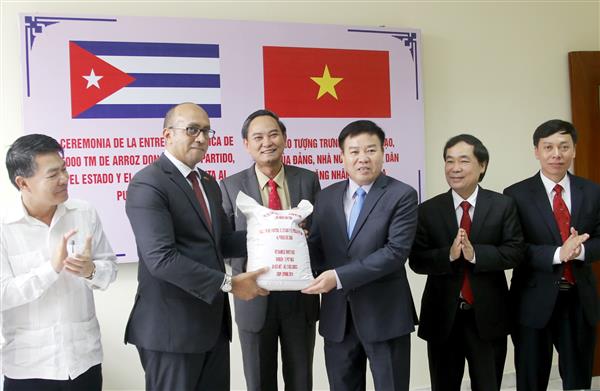 viet nam bat dau xuat cang 5000 tan gao tang nhan dan cuba
