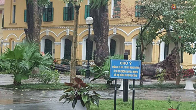 ha noi cay do sau mua dong nu sinh truong chu van an gay ca tay chan