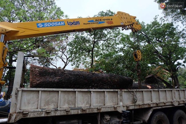 ha noi cay do sau mua dong nu sinh truong chu van an gay ca tay chan