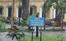 ha noi cay do sau mua dong nu sinh truong chu van an gay ca tay chan