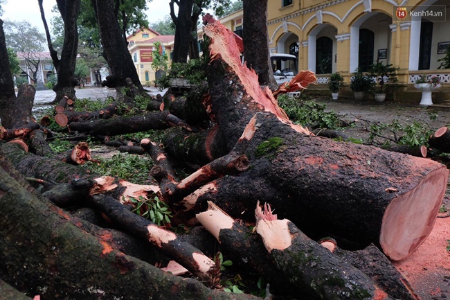 clip cay co thu do trong san truong thpt chu van an sau con dong mot nu sinh bi gay tay chan