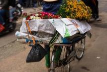 net binh di viet nam qua anh cua tay may ha lan