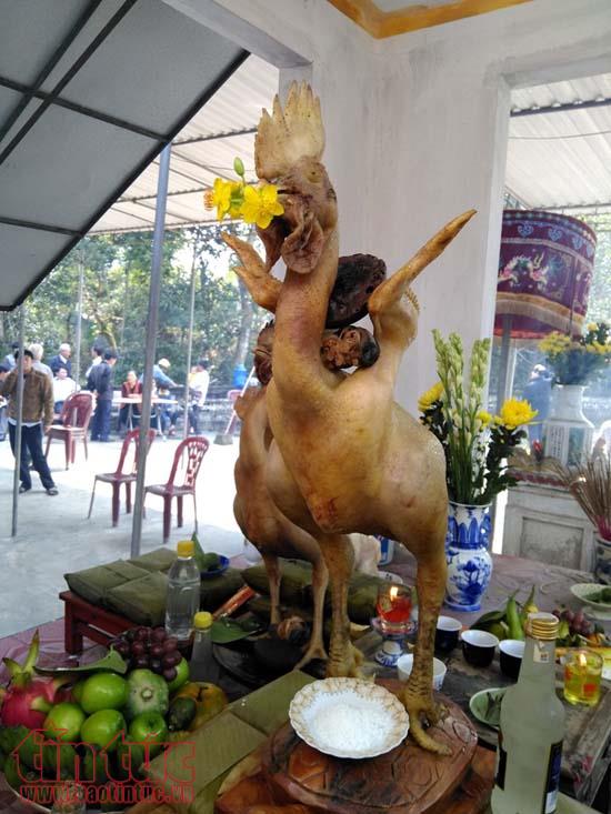 doc dao le chong co cao o lang que ha tinh