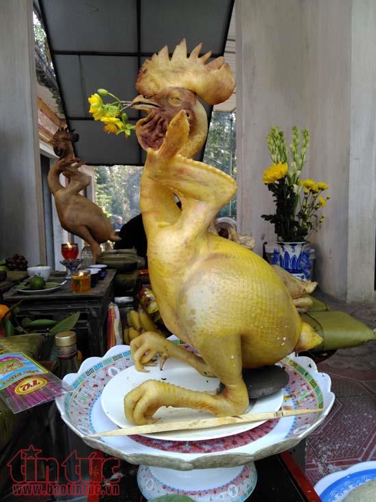 doc dao le chong co cao o lang que ha tinh