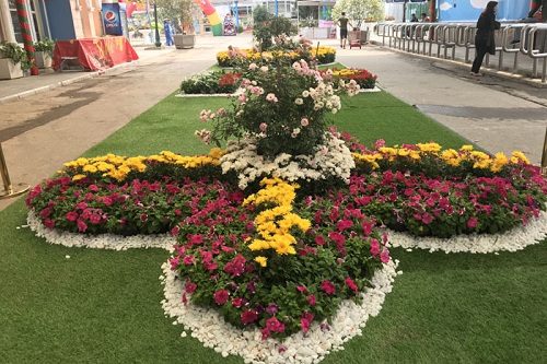 chiem nguong muon sac hoa hong bulgaria tai cong vien nuoc ho tay tu 8 113