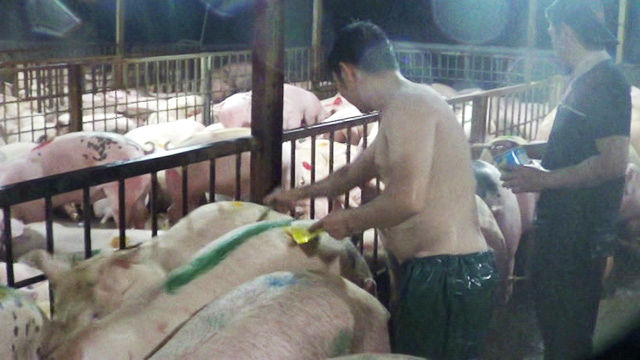 tieu huy 34 tan thuc pham ban xu phat 25 ty dong o sai gon