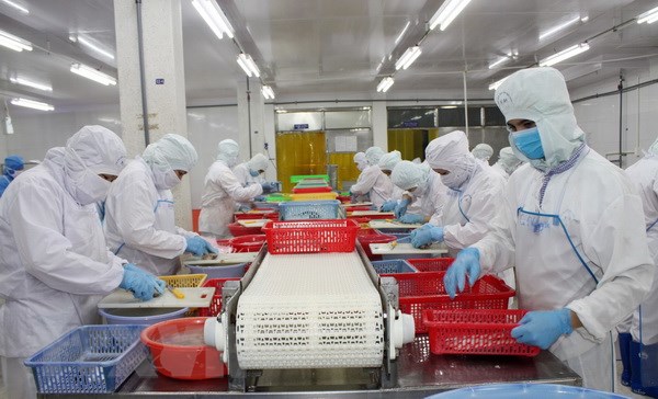 hiep dinh cptpp co hoi va thach thuc voi doanh nghiep viet