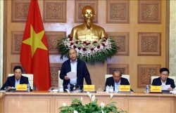 con duong khong trai hoa hong cua nu tien si top 100 nha khoa hoc tieu bieu chau a