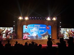 chiem nguong mai vang cung hoa anh dao hoi tu tai non thieng yen tu