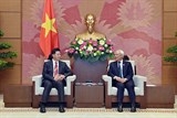 Uỷ ban Hoà bình Việt Nam và Hoà Tài cần tích cực hợp tác trên các diễn đàn quốc tế đa phương