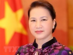 chu tich quoc hoi gap go cong dong nguoi viet nam tai phap