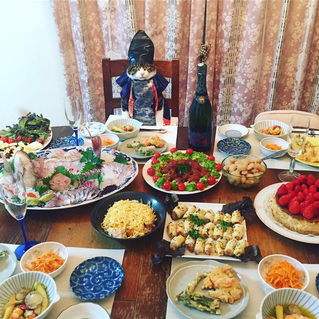 dai su meo cute di truyen ba van hoa nhat ban