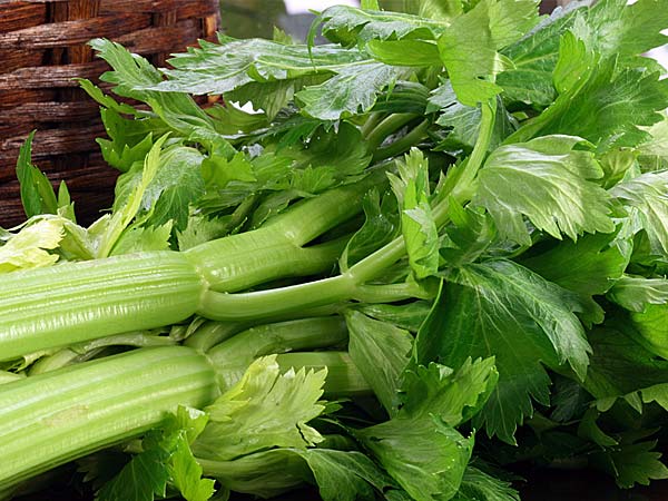 nhung cuu tinh khi huyet ap len cao