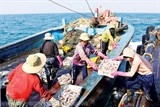Đưa ngư dân Việt đi khai thác thủy sản trái phép bị phạt tới 100 triệu đồng